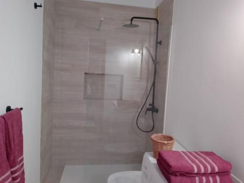 uma casa de banho com um chuveiro e uma toalha cor-de-rosa em Casa Lago Azul 49 em Los Cancajos