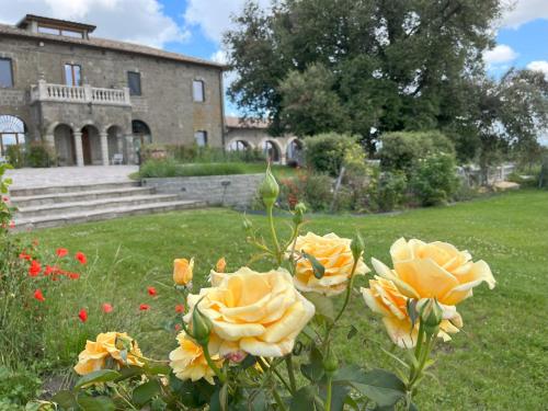 a bunch of yellow roses in front of a building at Villa Paladini in Montefiascone