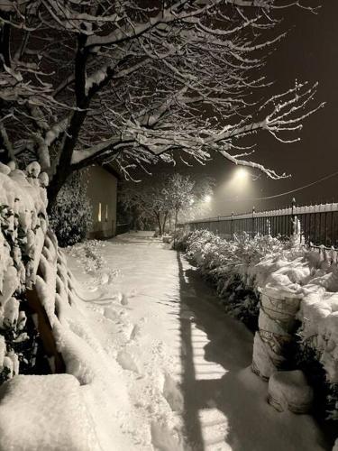 a snow covered path with a tree and a fence at La casa di Anna in Turin