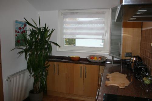 a kitchen with a plant on the counter and a window at Ferien Oase am BER in Schönefeld