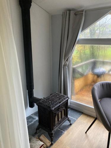 a fireplace in a living room next to a window at Honey Bee Cabin in Llandysul