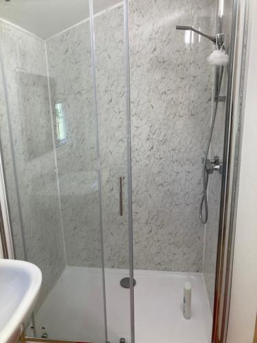 a shower with a glass door next to a sink at Honey Bee Cabin in Llandysul