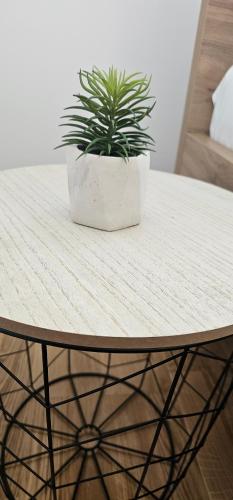 a potted plant sitting on top of a table at SunShine Apartman CityBlock in Banja Luka