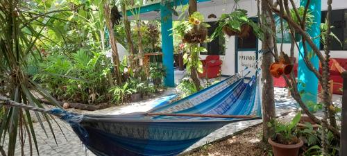Taman di luar Cabinas del Mar