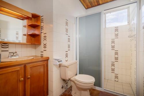 a bathroom with a toilet and a shower at Apetahi Lodge in Paea