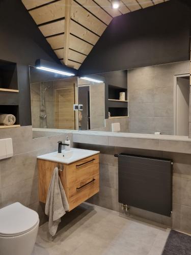 a bathroom with a toilet and a sink at Willa Bliski in Szczyrk