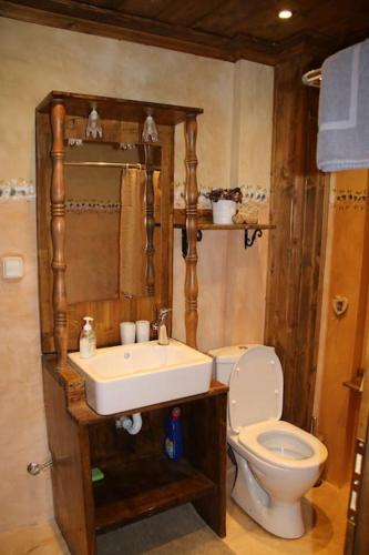 Ένα μπάνιο στο Cozy Mountain Cabin
