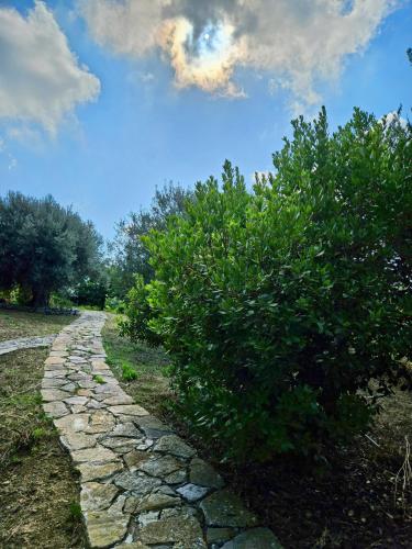 Φυσικό τοπίο κοντά σε αυτή η βίλα