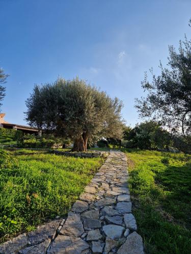 Κήπος έξω από το Villa del Carrubo a due passi dal mare di Cefalù