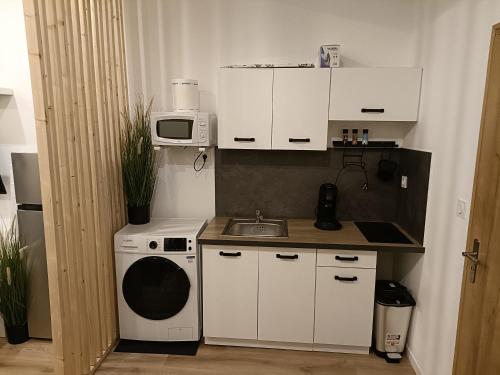 uma pequena cozinha com um lavatório e uma máquina de lavar roupa em studio très agréable em Roubaix