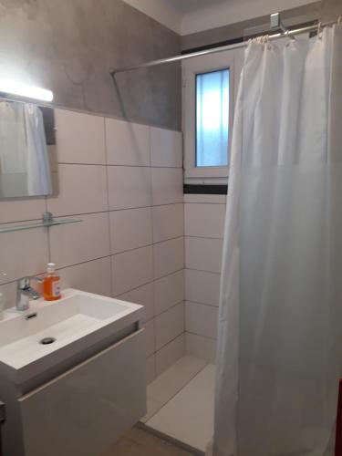 La salle de bains est pourvue d'un rideau de douche et d'un lavabo. dans l'établissement Verdun 228 Insolite, à Chambéry