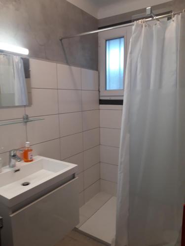 une salle de bain avec un rideau de douche et un lavabo dans l'établissement Verdun 228 Insolite, à Chambéry
