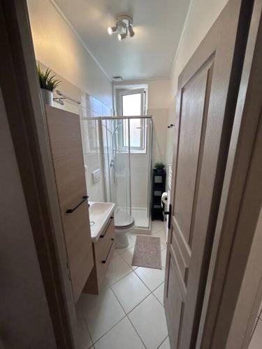 a bathroom with a shower and a toilet and a sink at Studio dans villa proche mer in Nice