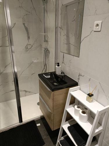 a bathroom with a sink and a shower at Studio confortable style in Roubaix