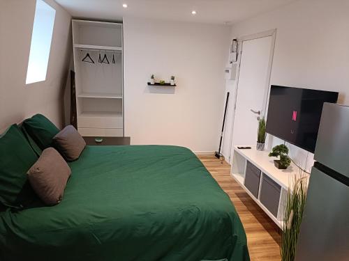 a bedroom with a green bed and a television at Studio confortable style in Roubaix