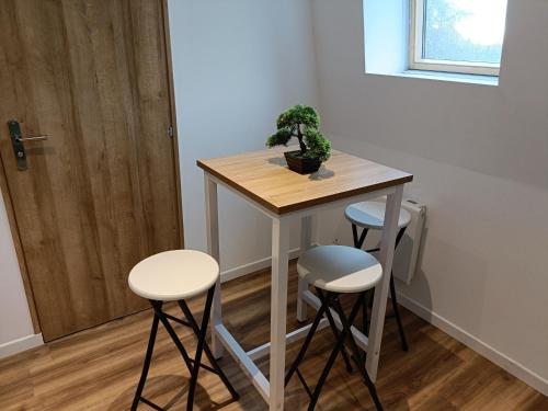 a small table with three stools and a plant on it at Studio confortable style in Roubaix