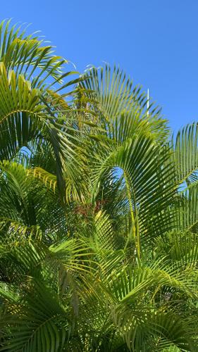 صورة لـ P'tii repos Soleil في ساينت آن