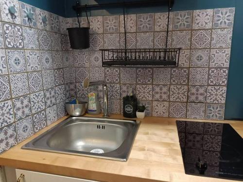 um balcão de cozinha com um lavatório na cozinha em Kedge 9 - proche centre, tram & universités em Talence