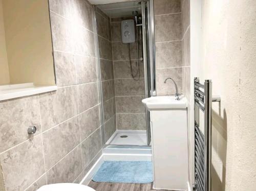 a bathroom with a shower with a toilet and a sink at Taunton Flats in Taunton