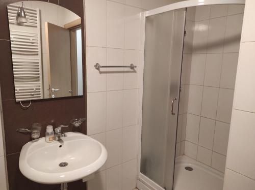 a bathroom with a sink and a shower at Gorštak in Kopaonik