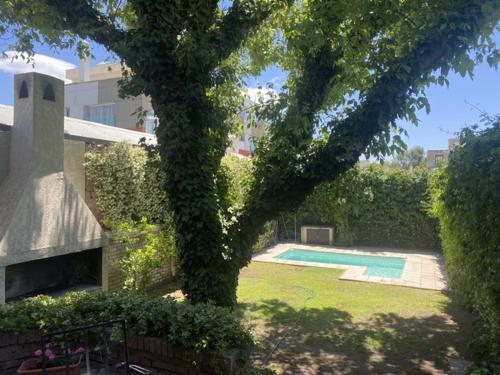 a large ivy covered tree next to a swimming pool at Viajar y sentirse en casa! in Mendoza