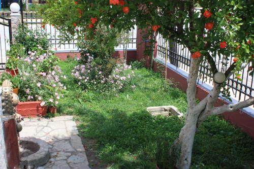 a garden with a tree and flowers on a fence at Sunray Studios Stavros in Stavros