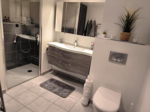 a bathroom with a toilet and a sink and a shower at Appartement entier in Aime-La Plagne