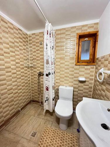 Gambar di galeri bagi Hanul Apuseni di Bădăi