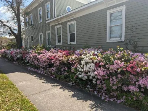 The Craft House in Wilmington