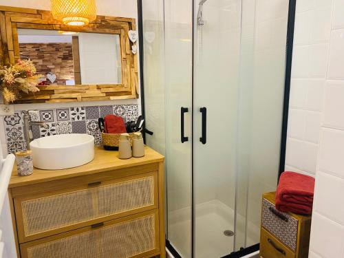 a bathroom with a shower and a sink at Petit cocon proche de Stanislas in Nancy