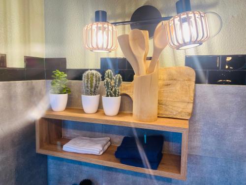 a shelf with cactuses and potted plants on it at Petit cocon proche de Stanislas in Nancy