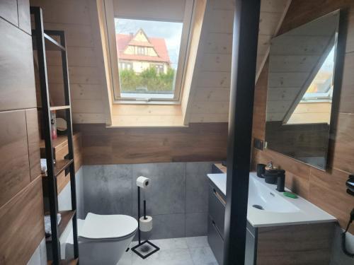 a bathroom with a toilet and a sink and a window at LITTLE KOIS VILLAGE in Dzianisz