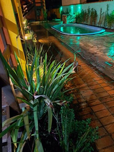 a plant next to a swimming pool at night at Pousada Trilha da Serra in Morretes