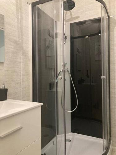 una doccia con porta in vetro in bagno di Au ptit palais a Châtellerault