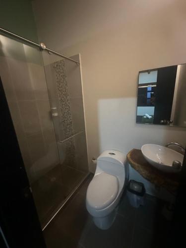 La salle de bains est pourvue de toilettes, d'une douche et d'un lavabo. dans l'établissement Finca Hotel el Diamante, à Calarcá