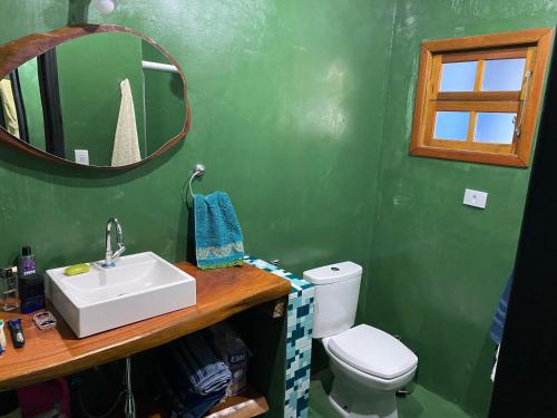 ein grünes Bad mit einem Waschbecken und einem WC in der Unterkunft Cabana Fenix Sitio Nossa Terra in Joanópolis