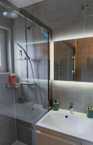 une salle de bain avec une douche, un lavabo et un miroir dans l'établissement Chez la Clo' - joli 2 pièces, parking gratuit, accès direct tram 2 min à pied, à Strasbourg