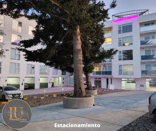 un árbol frente a un gran edificio en Josefina 4D en Ushuaia