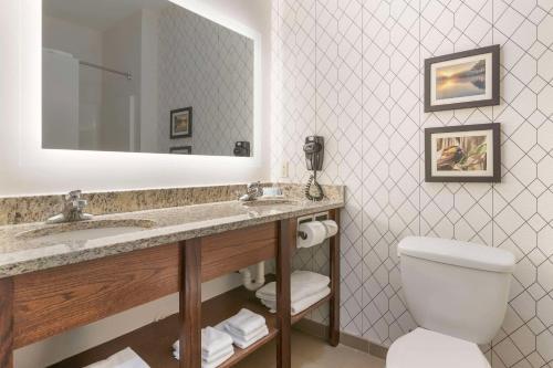 Comfort Inn & Suites Davenport - Quad Cities في دافنبورت: حمام مع حوض ومرحاض ومرآة