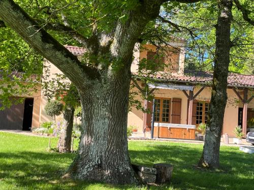 a group of trees in front of a house at Maison de Vacances MACOU 2 in Capdrot