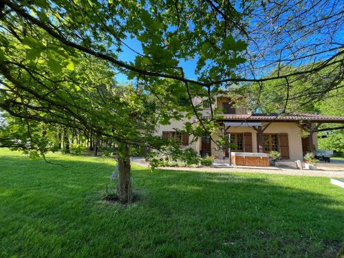 a tree in the yard of a house at Maison de Vacances MACOU 2 in Capdrot