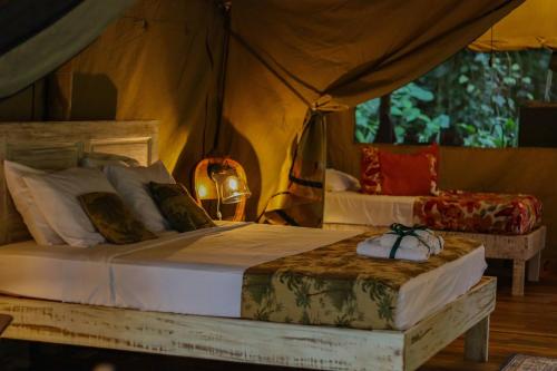 um quarto com uma cama e uma tenda em Colina Secreta - Glamping and Villas em Puerto Viejo