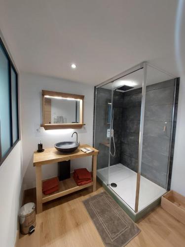 une salle de bain avec une douche avec un lavabo et un miroir dans l'établissement La Cabane de Nina, cottage chaleureux, à Plassac