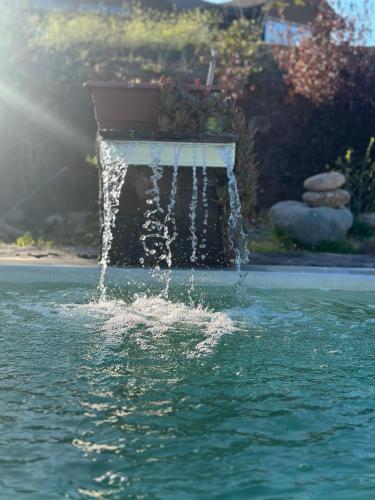 a fountain in the middle of a pool of water at Cabaña, quincho, piscina y hermosas estrellas in La Serena