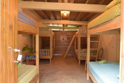 a room with four bunk beds in a house at Ecolodge Guancascos, cabaña para 16 personas al pie del PN Celaque in Villa Verde