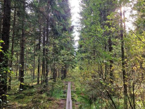a dirt road in the middle of a forest at 4 star holiday home in SKÖVDE-By Traum in Skövde