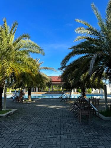 a group of benches and palm trees next to a pool at North Stellar Hotel and Events-Place in Batac