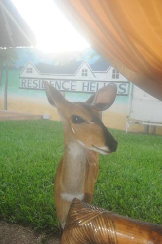 a statue of a deer sitting in the grass at Residence Helios in Abidjan