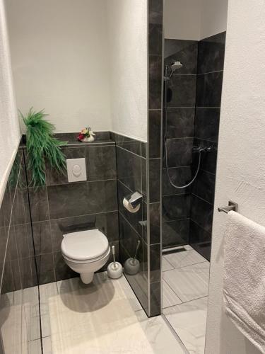 W łazience znajduje się toaleta i przeszklony prysznic. w obiekcie Appartements Slishani 2 w mieście Sankt Michael im Lungau