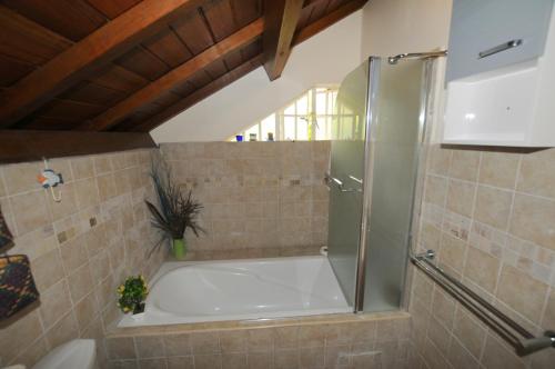 a bathroom with a shower and a bath tub at Villa Eastern Wind in Pointe d'Esny